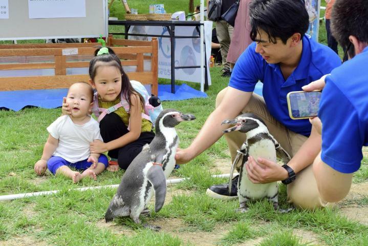 ペンギンと記念撮影する子ども