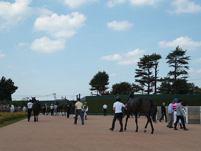 スプリンターズSが行われた中山競馬場(c)netkeiba