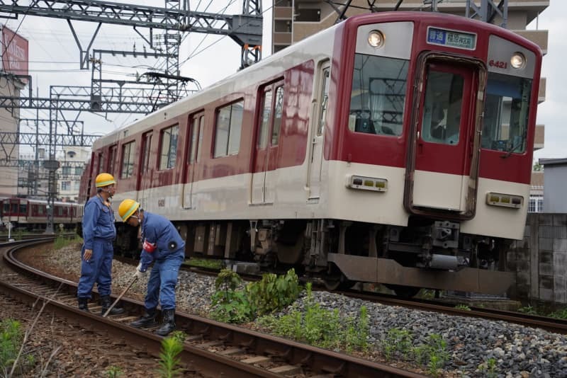 保線作業のすぐそばを電車が頻繁に通過していく＝７月１６日、大阪府羽曳野市