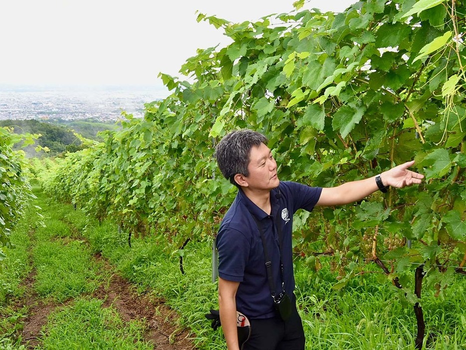 サントリー（株）ワイン生産部 登美の丘ワイナリー 栽培技師長の大山弘平さん