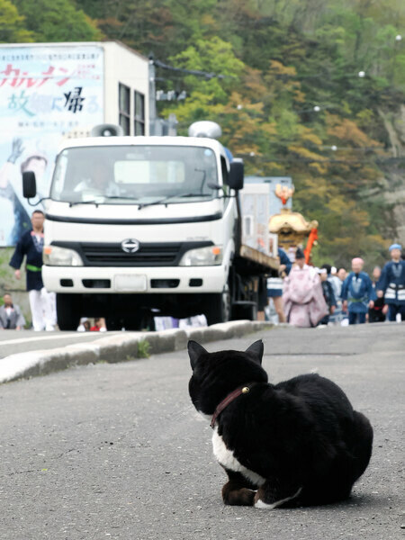 「にゃんだか……にぎやかなのがやってきたのニャ♪」