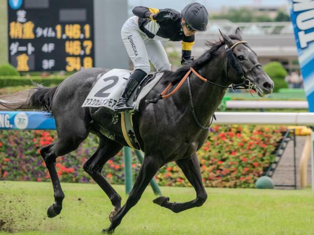 重賞初制覇を目指すアスクカムオンモア(今年6月撮影、ユーザー提供：TAKE2さん)