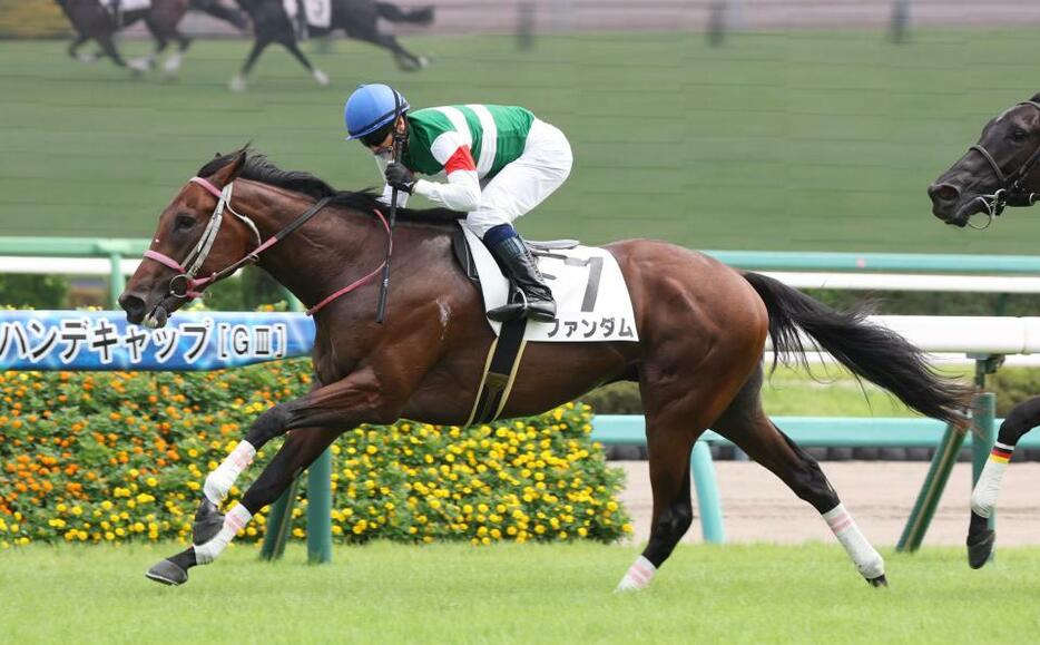 コースレコードで新馬戦を勝利したファンダム＝中山競馬場