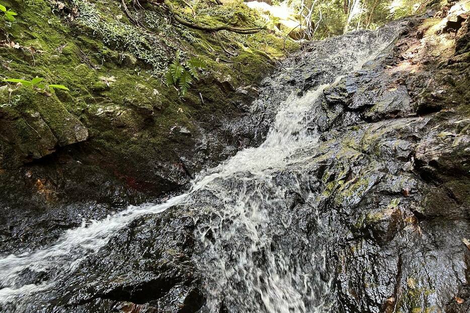 涼し気な水音を立てる小滝が連続する地蔵谷