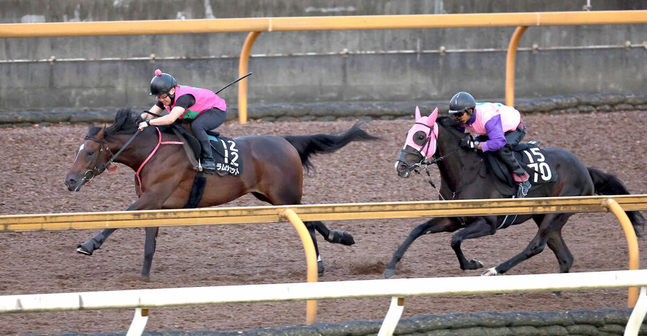 併せ馬で追い切るラムジェット（左）