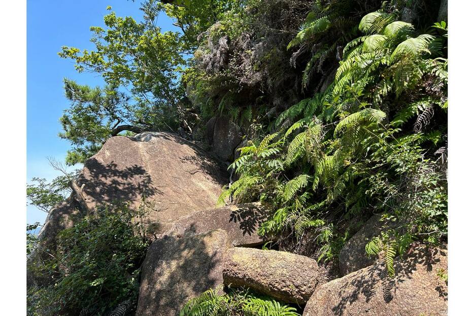 六甲山系の標高549mの荒地山の巨岩