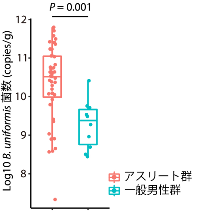 （図1）