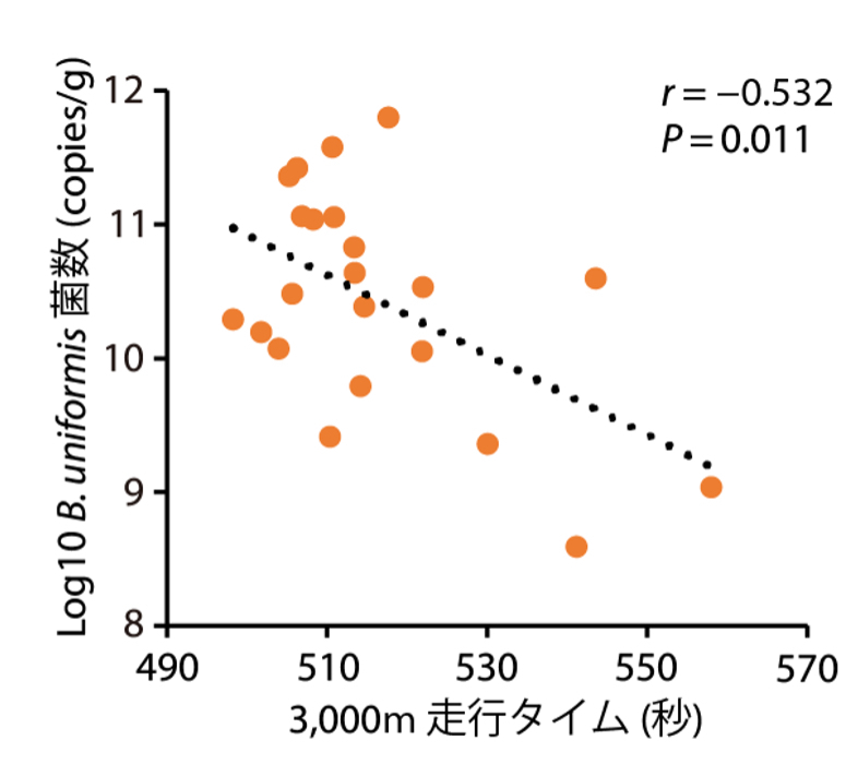 （図2）