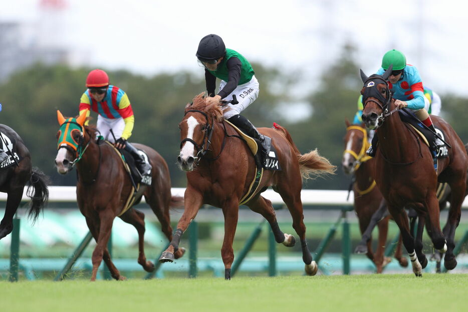 サフラン賞・クリノメイと佐々木大輔騎手