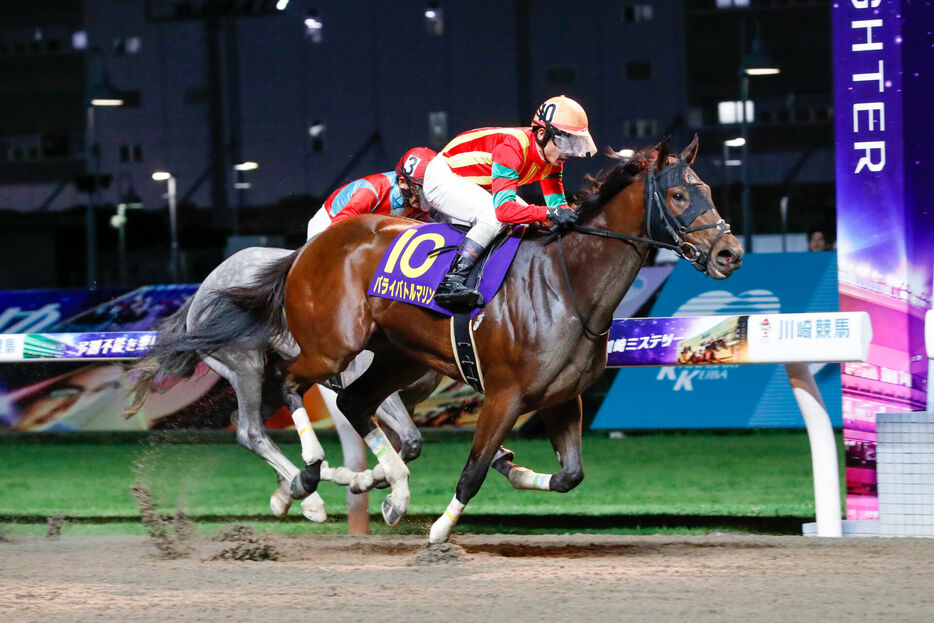 関東オークス・パライバトルマリンと戸崎圭太騎手（提供元：神奈川県川崎競馬組合）