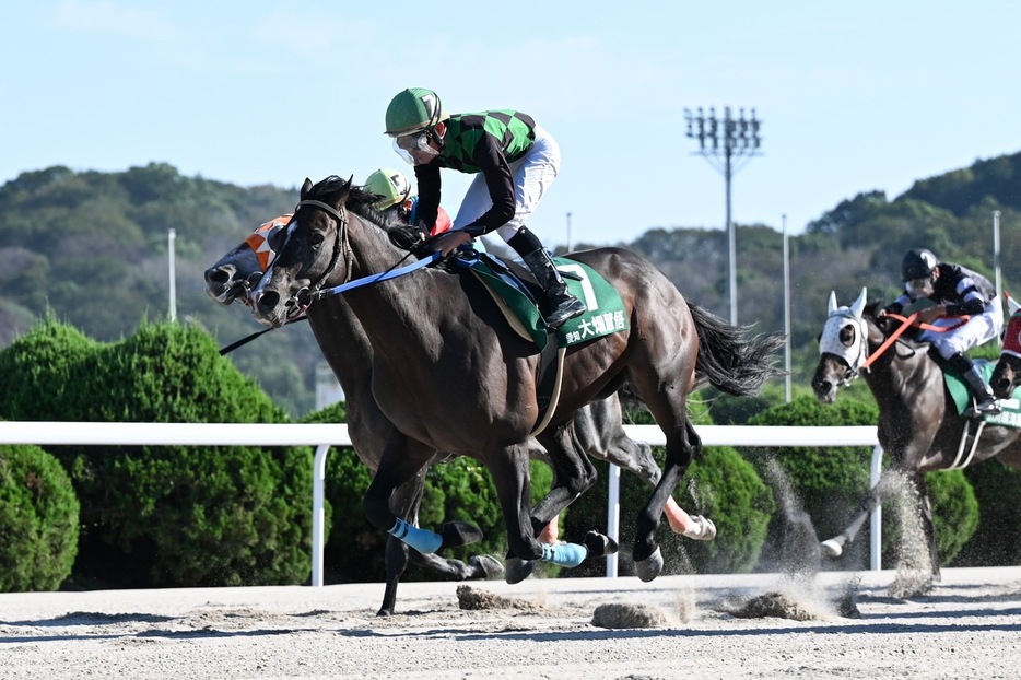 ヤングジョッキーズTR佐賀第1戦・セントアイヴスと大畑慧悟騎手 (C)NAR地方競馬全国協会