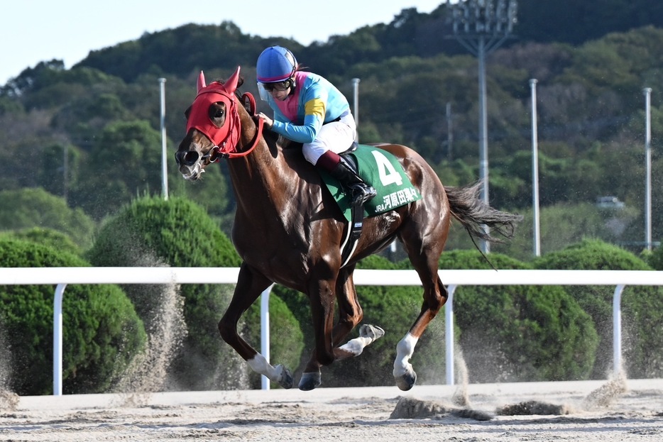 ヤングジョッキーズTR佐賀第2戦・グレースエンブレムと河原田菜々騎手 (C)NAR地方競馬全国協会