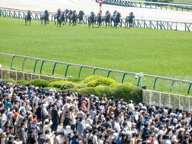 東京競馬場(写真はイメージ、撮影：下野雄規)