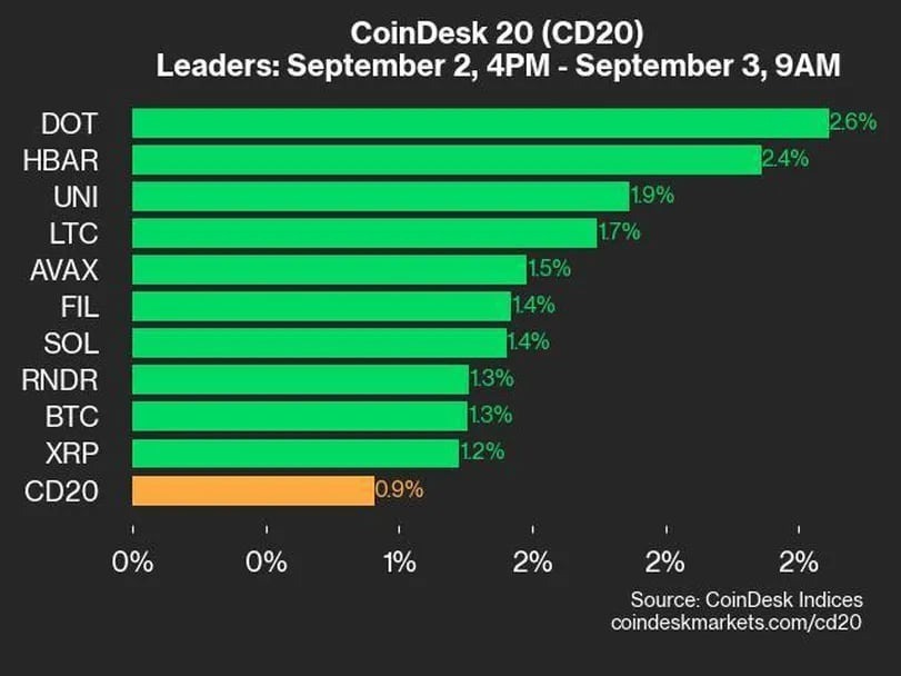 ポルカドットとヘデラがリード、CD20は0.9％上昇：CoinDesk 20 パフォーマンスアップデート