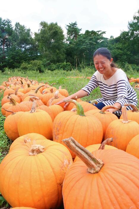 八ケ岳中央農業実践大学校で収穫したカボチャ