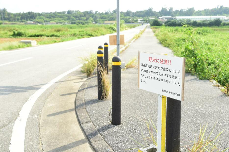 野犬に注意するよう呼びかける看板＝30日、金武町