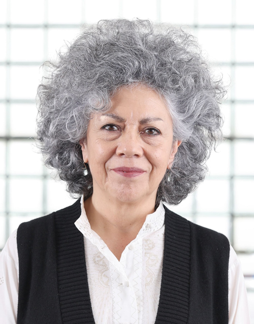 ドリス・サルセド　Doris Salcedo　(C) The Japan Art Association / The Sankei Shimbun