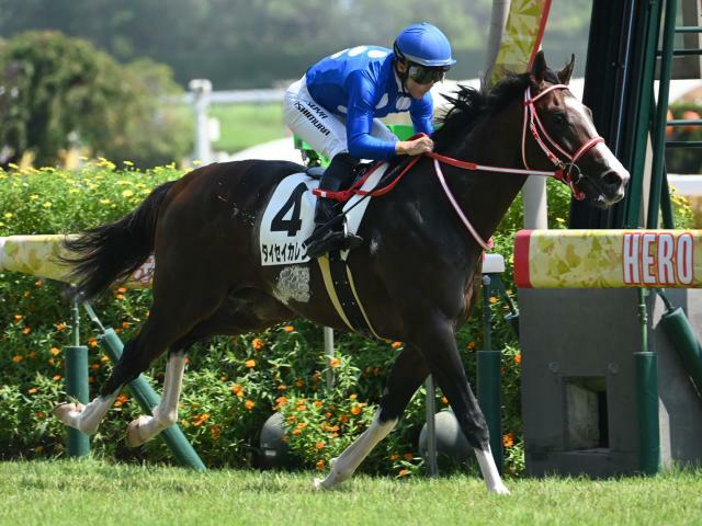 2歳新馬戦を制したタイセイカレント(c)netkeiba