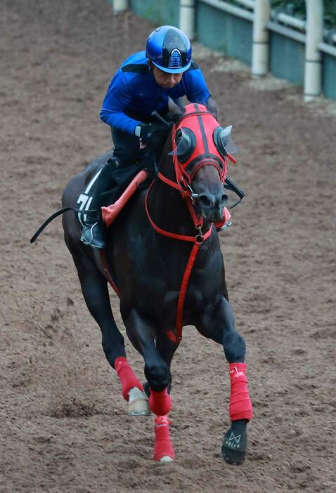 　岩田康を背に追い切るエコロヴァルツ（撮影・石湯恒介）