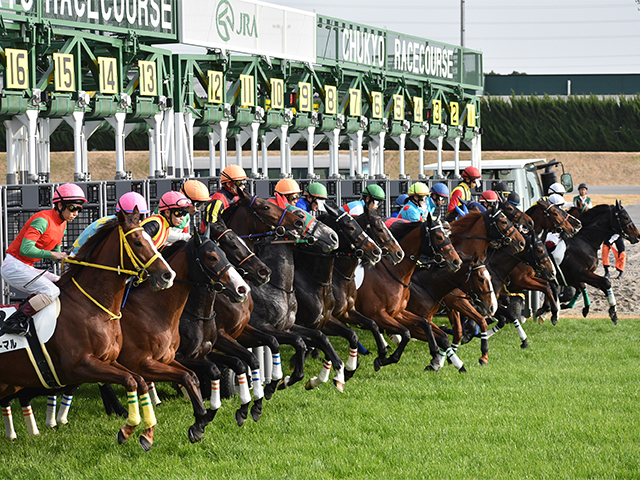 サンライズアレスがデビュー戦を迎える中京競馬場(c)netkeiba