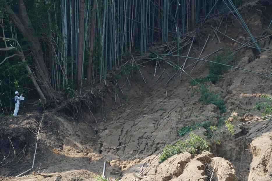 土砂崩れの発生場所を調査する県職員＝蒲郡市竹谷町大久古で