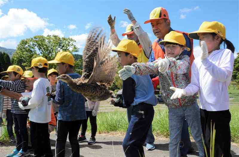 キジを放つ阿蘇小の児童ら＝17日、阿蘇市