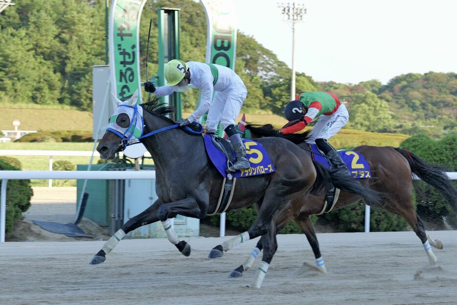 サマーチャンピオン・アラジンバローズと下原理騎手 (C)佐賀県競馬組合