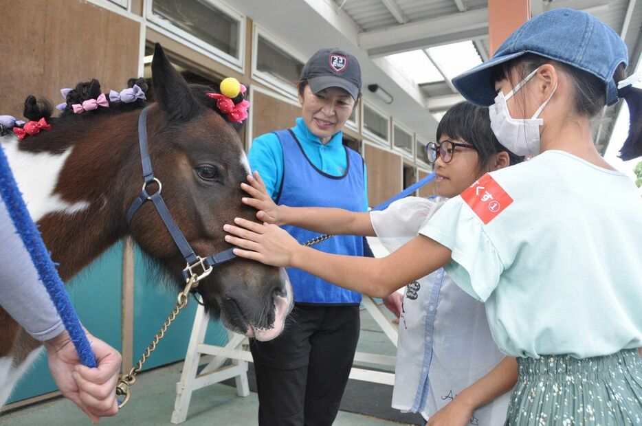 小倉競馬場でポニーの頭をなでる子ども