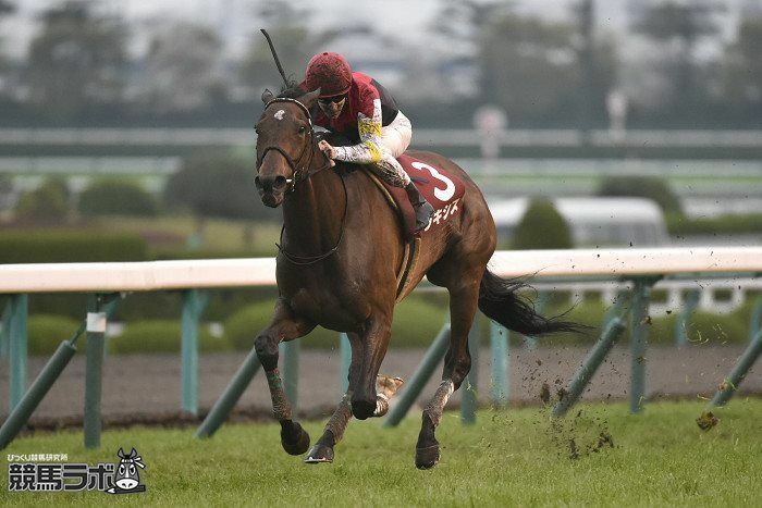 日曜中京デビュー予定のミラージュナイトの母・ラキシス