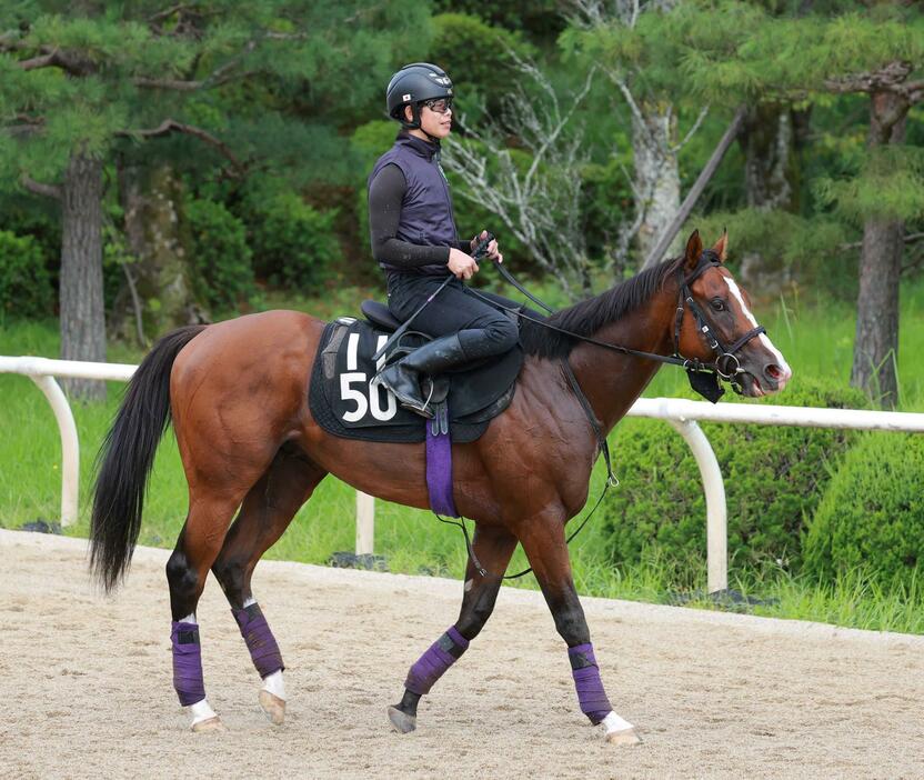 　前走古馬に圧勝して勢いに乗るメリオーレム