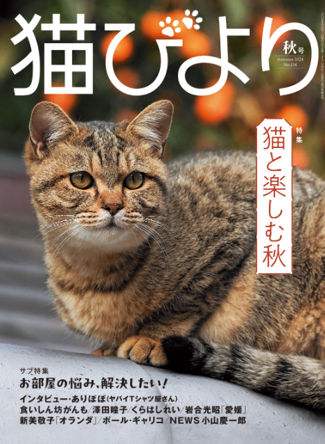 『猫びより』2024年秋号