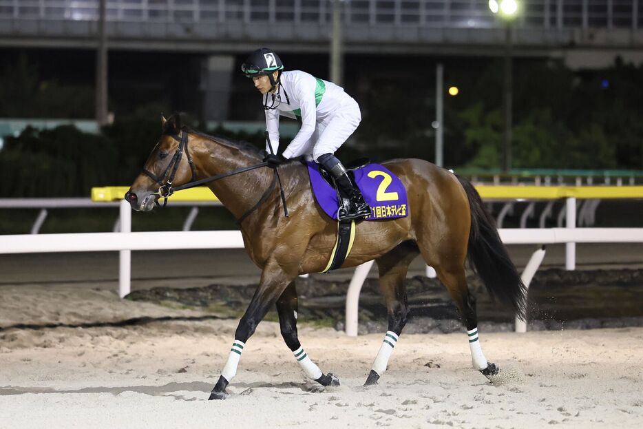 日本テレビ盃・ウィリアムバローズと坂井瑠星騎手 (C)Hiroki Homma