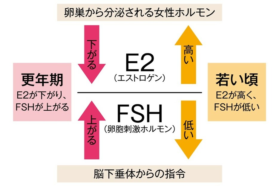 指標にするふたつのホルモン値