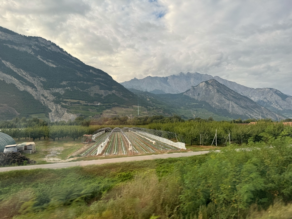 「スイスの山の上には登山電車で。車窓からの景色も綺麗でした」（桂川有人）