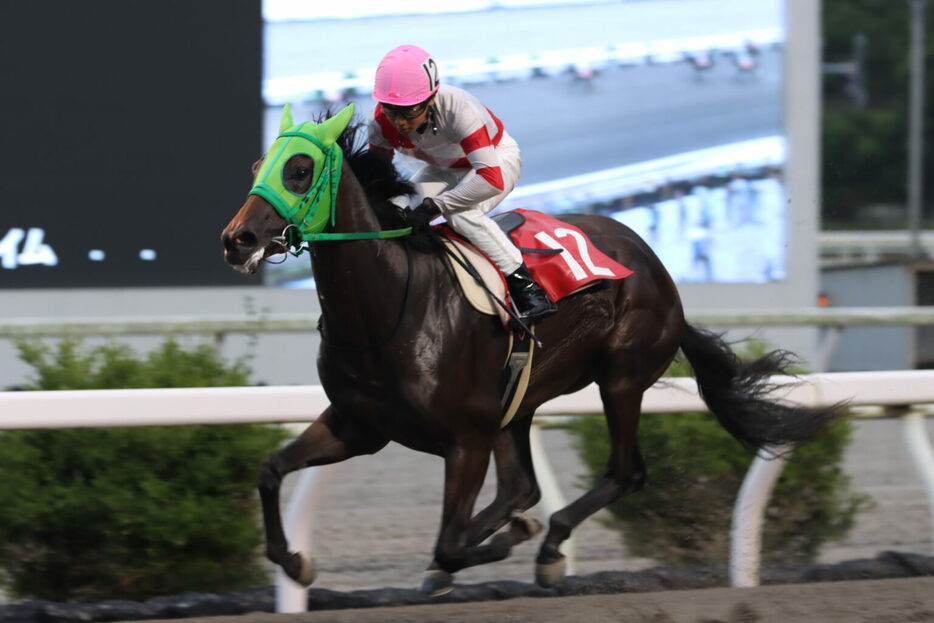 堆金菊特別・ドライブアウェイと多田羅誠也騎手 (C)高知県競馬組合