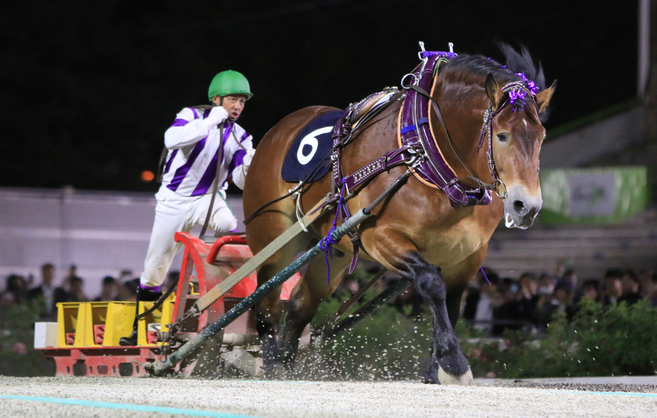 岩見沢記念・メムロボブサップと阿部武臣騎手 (C)ばんえい十勝