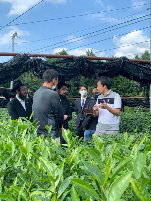 茶園で生産過程を確認するラビたちと筆者（右端）［写真：筆者提供］