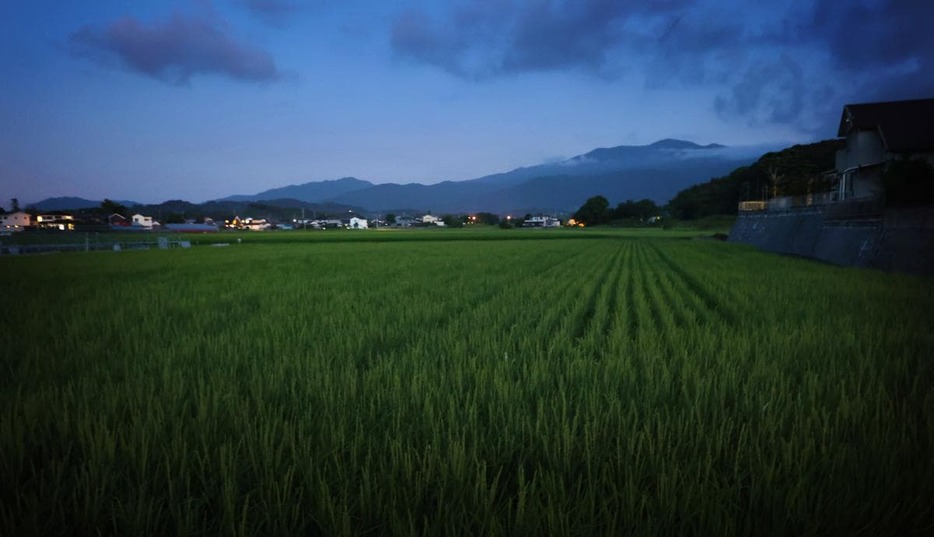 のどかな田園風景が広がる神在地区