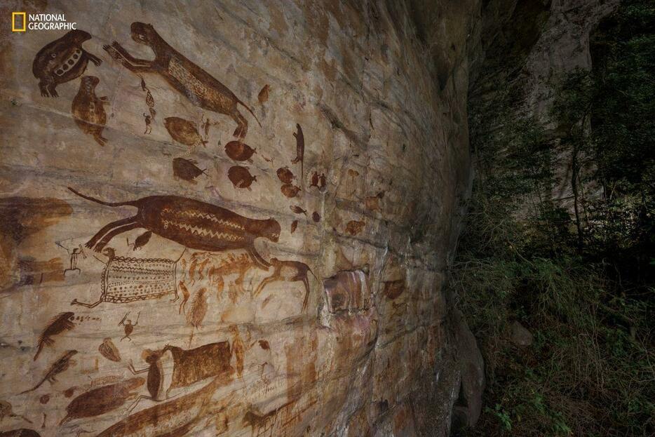 コロンビアのチリビケテ国立公園に残された古代の岩絵。ジャガーや大型齧歯類のパカ、ピラニアが描かれている。この地域では有史以前のアマゾンの光景を描いた7万5000点を超す岩絵が発見されている。（PHOTOGRAPH BY THOMAS PESCHAK）