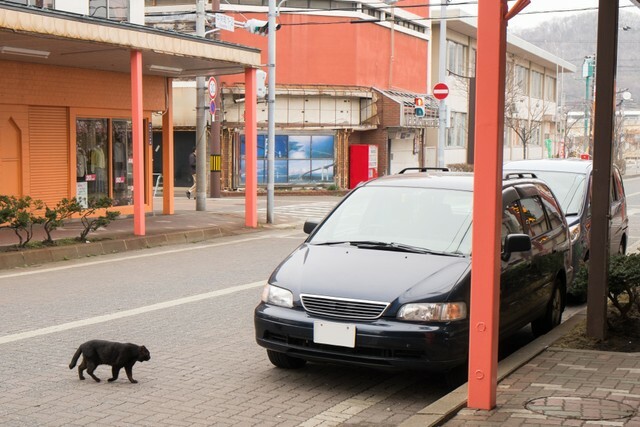 駐車と停車の違いは？　※画像はイメージです（takke_mei/stock.adobe.com）