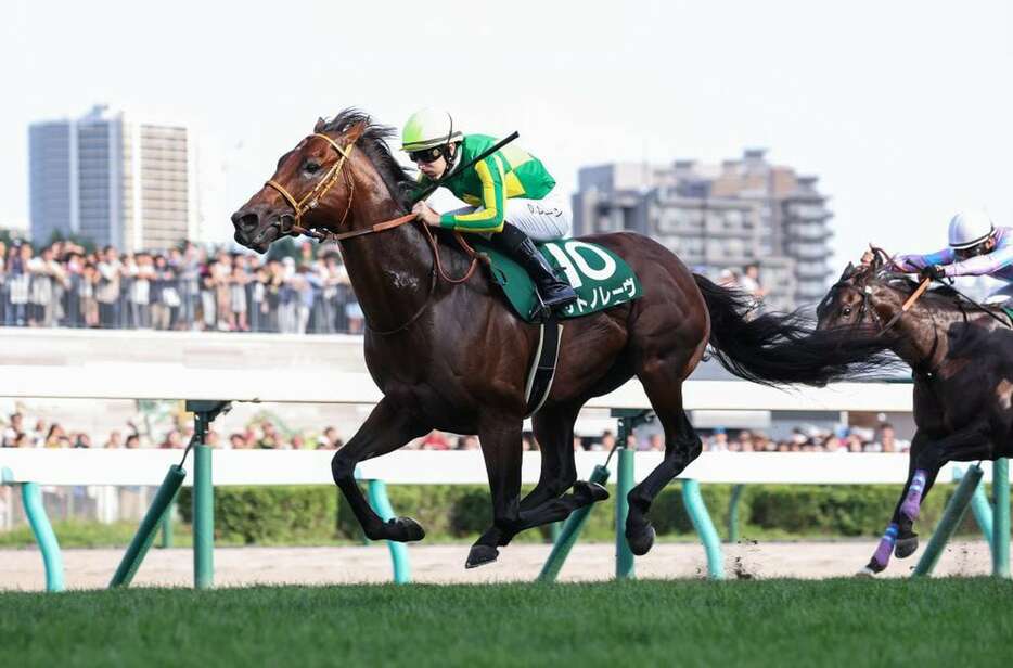 キーンランドCを制したサトノレーヴ＝8月25日、札幌競馬場（撮影・浅野一行）