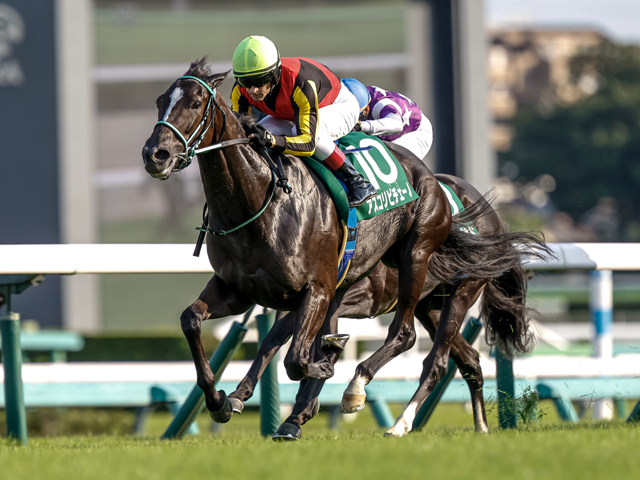 京成杯AHを制したアスコリピチェーノ(撮影：下野雄規)