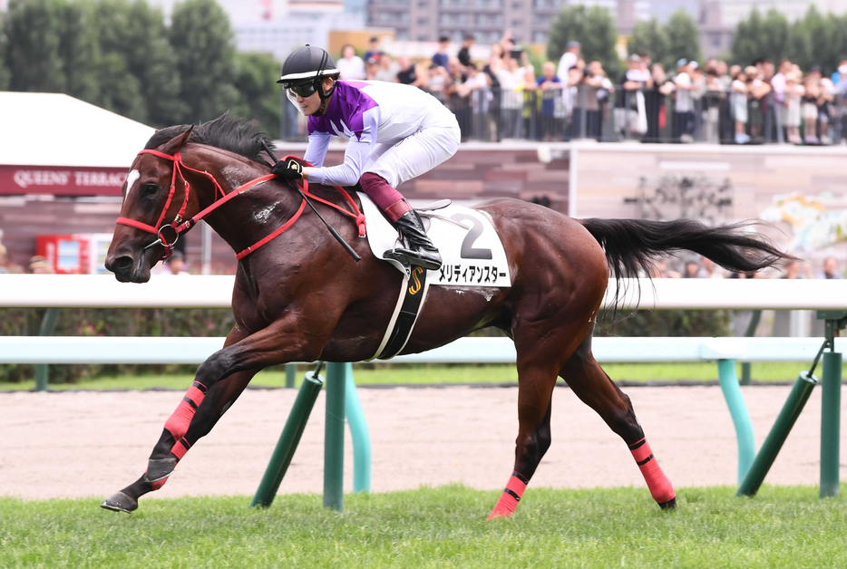 　新馬戦を制したメリディアンスター