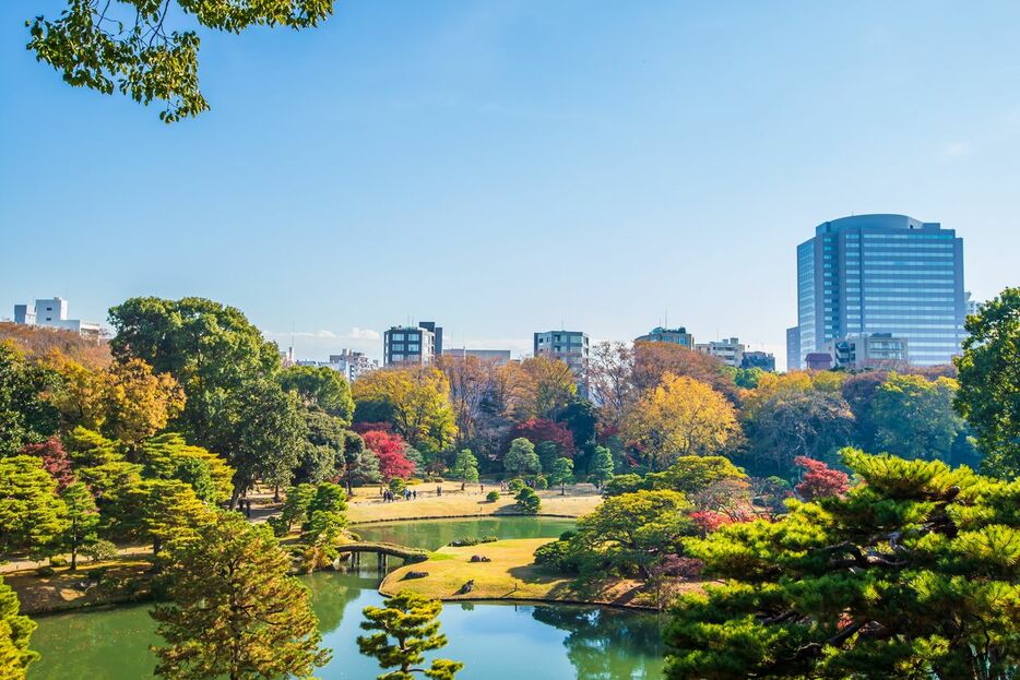 六義園は池を中心とした回遊式庭園 （PIXTA）