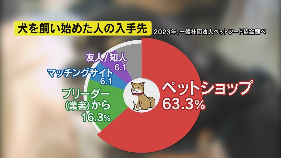 犬を飼い始めた人の入手先（2023年、一般社団法人ペットフード協会調べ）