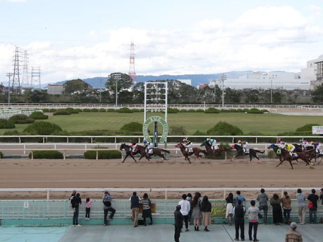 レースが行われた園田競馬場(c)netkeiba