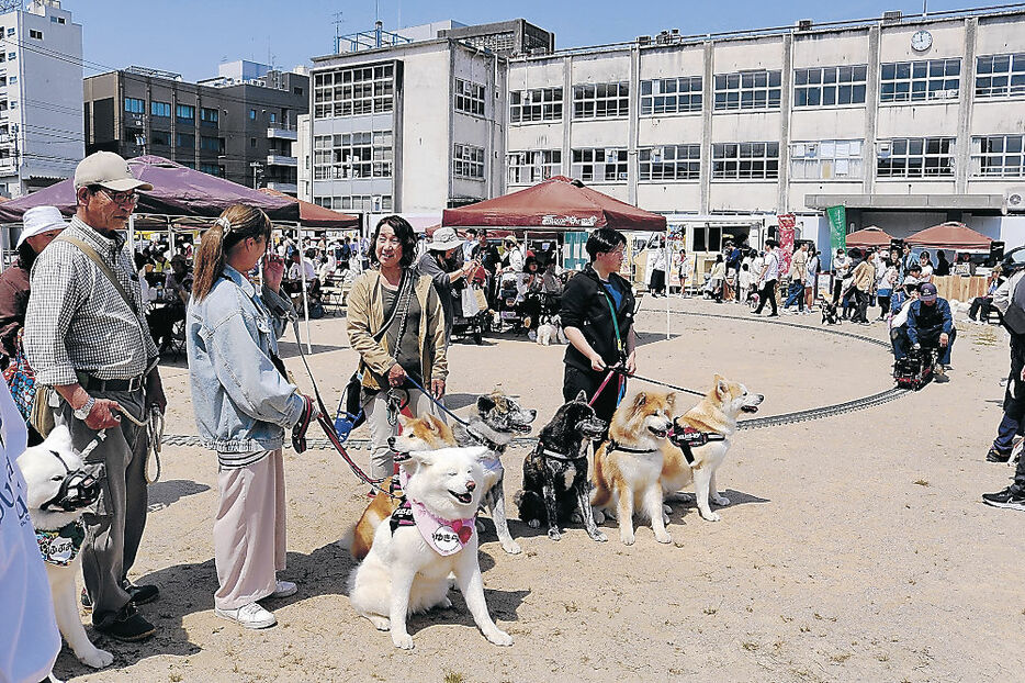 ４月に開かれたハチマルシェ＝富山市旧八人町小グラウンド