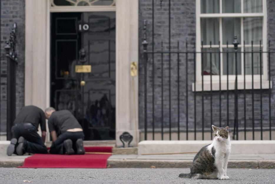 首相官邸前で作業員を見つめる雄ネコのラリー＝8月、ロンドン（AP＝共同）