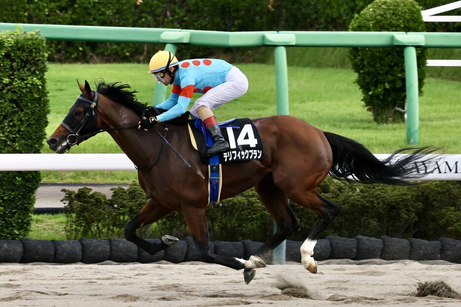 鋸山特別・テリフィックプランとC.ルメール騎手