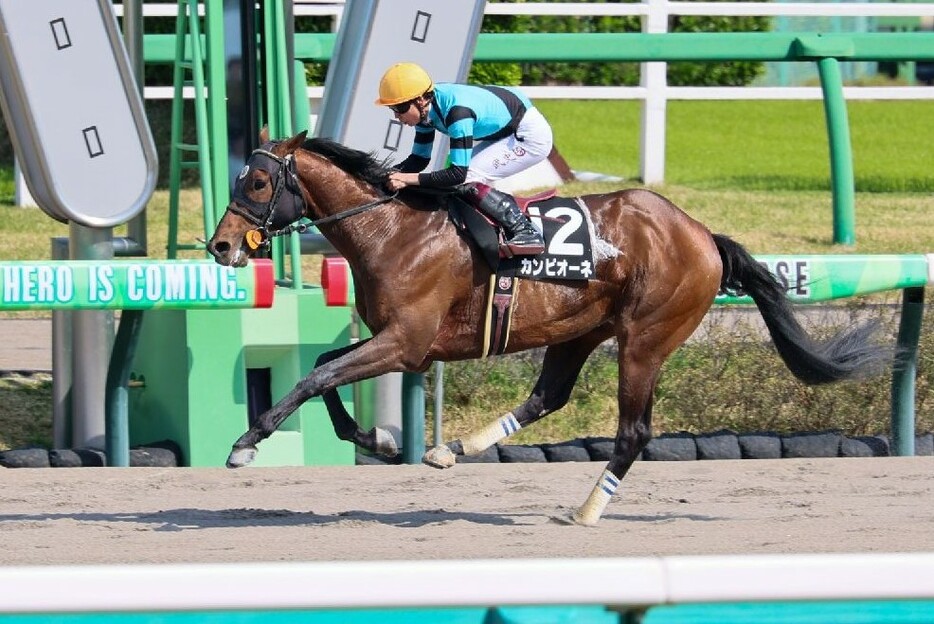 横山武J騎乗時は全て馬券圏内のカンピオーネ